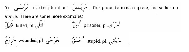 Some Diptote Plural Forms
